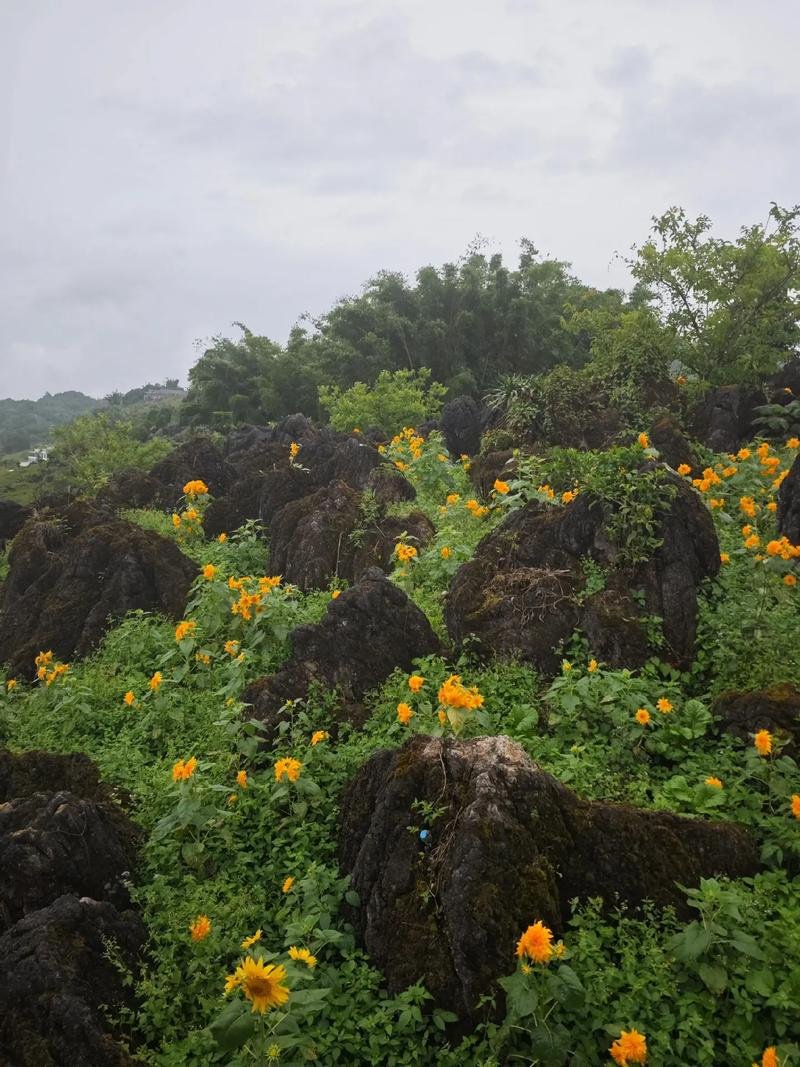 🏔️镇康刺树丫口｜百里边关第一哨｜一站眺望中缅两国风光🌏