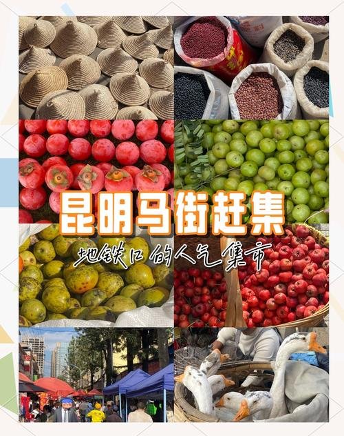 马街农贸市场攻略，买买买！