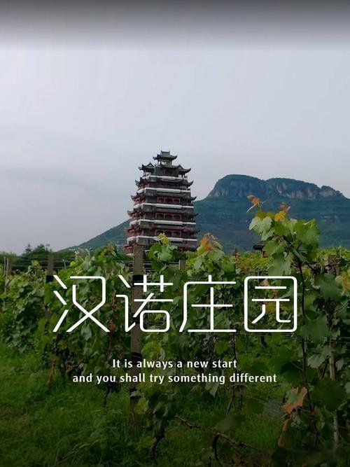 🏯汉诺庄园｜欧式风情休闲地✨葡萄庄园 + 红酒文化