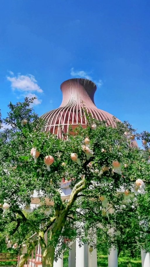 🌺蒙自石榴庄园・万亩果园采摘✨热带田园 + 网红打卡地