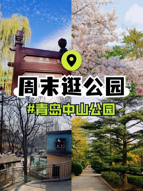 🌿青岛中山公园｜老牌城市公园🌸樱花季 + 游乐设施