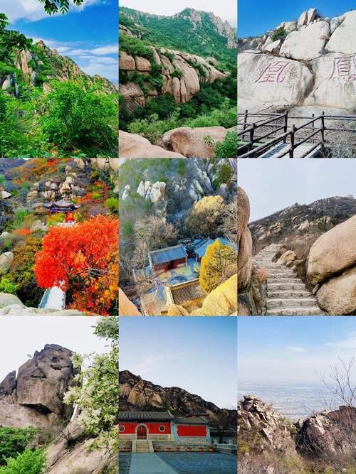 🌳凤凰岭公园｜城市生态公园✨花海步道 + 休闲遛弯