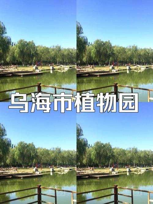 🌺乌海植物园・城市花海秘境✨四季赏花 + 温室科普