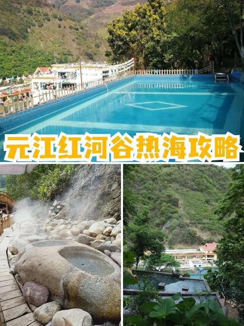 🌾元江红河谷热海｜热带水果之乡｜芒果园 + 火龙果采摘 + 热带风光