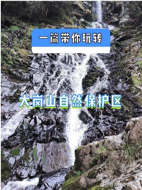⛰️大岗山（分宜）｜赣西原生态山林秘境✨竹海瀑布避暑氧吧
