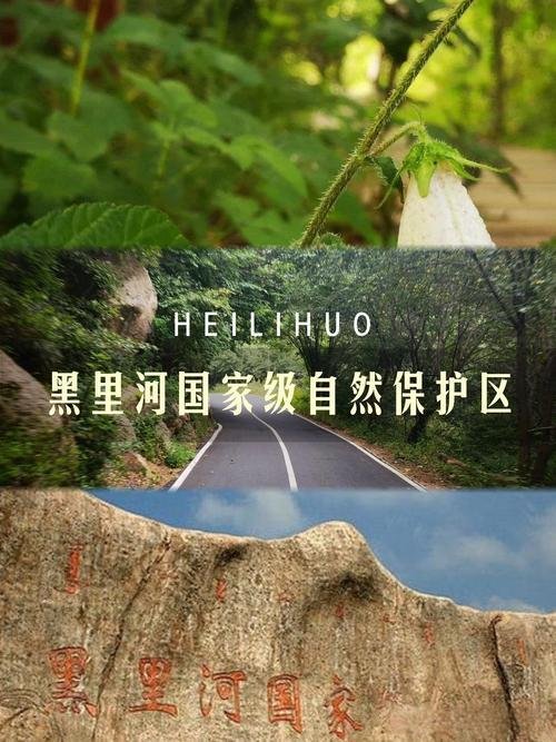 黑里河自然保护区・原始森林秘境✨溪流瀑布 + 天然氧吧