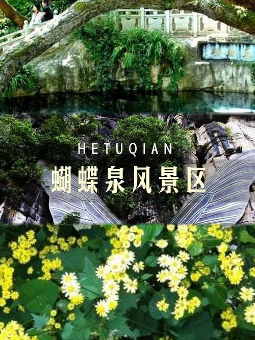苍山脚下蝴蝶泉💚泉水叮咚，蝶舞山谷｜白族民间爱情圣地