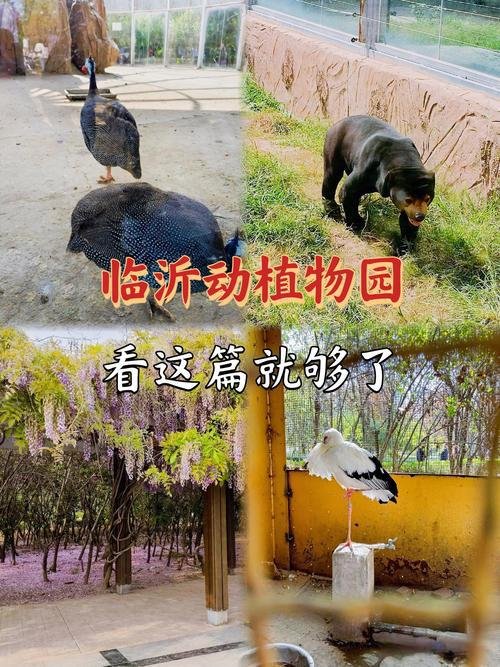 🌱临沂动植物园｜亲子萌宠✨动物互动 + 森林氧吧