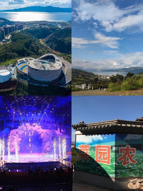 🎨玉溪狐狸花园｜现实版莫奈花园✨四季花开 + 油画感拍照