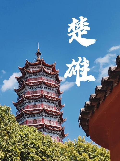 🌸桃源湖体育公园｜市区烟火秘境✨湖景步道 + 休闲遛弯超惬意