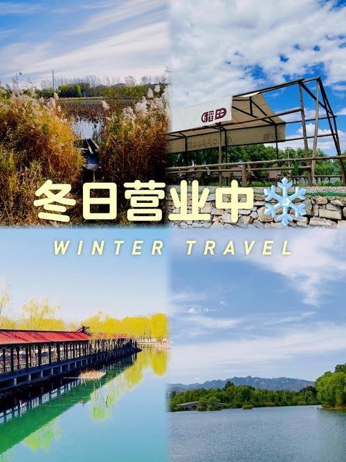 🚣‍♀️长沟运河湿地公园｜近郊原生运河湿地✨免费静谧漫步