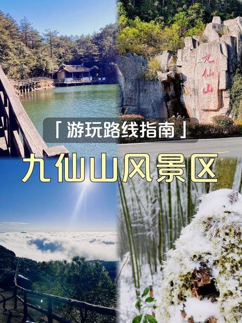 ⛰️ 九仙山（宁阳）平缓山林休闲园｜近郊轻徒步散心