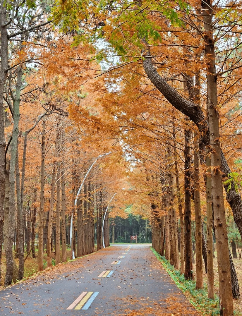 🌊奎山滨海公园｜城市口袋海岸✨小巧精致 + 日常休闲