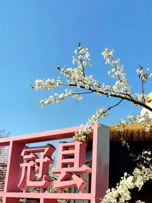 🏯高唐柴府花园｜宋代柴家古风园林✨湖畔清幽休闲