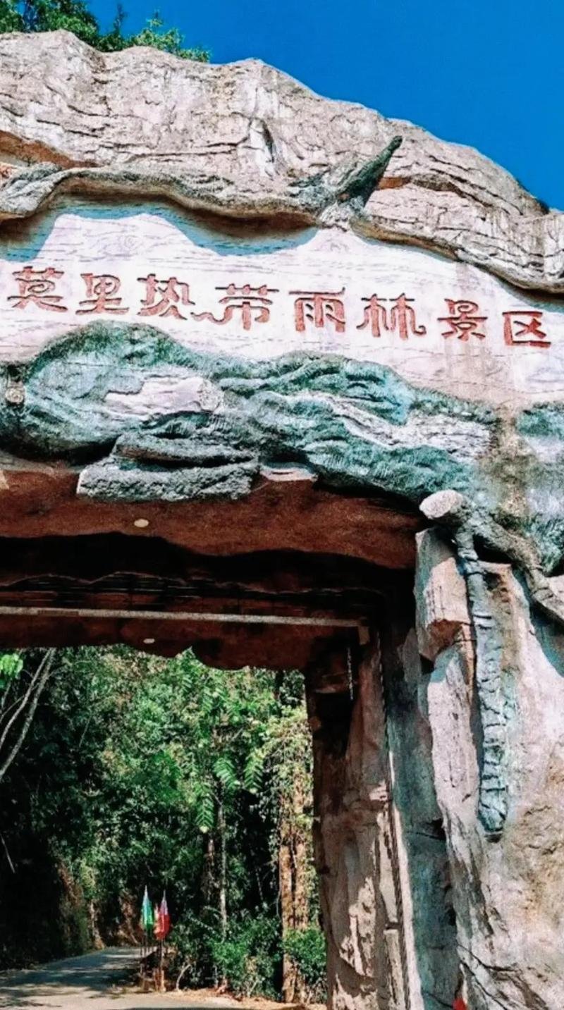 💦莫里热带雨林｜瑞丽天然氧吧｜深山瀑布雨林秘境🌊