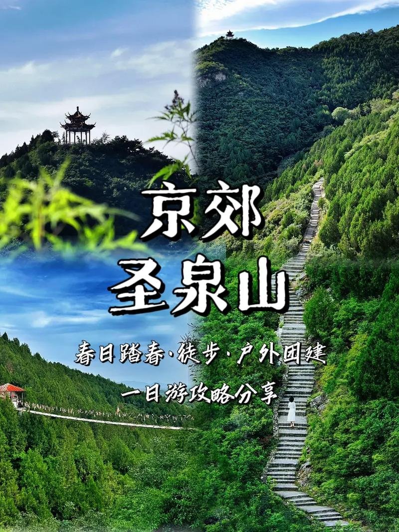 🌸高唐圣泉山海棠园｜晚春限定花海✨田园踏青拍照