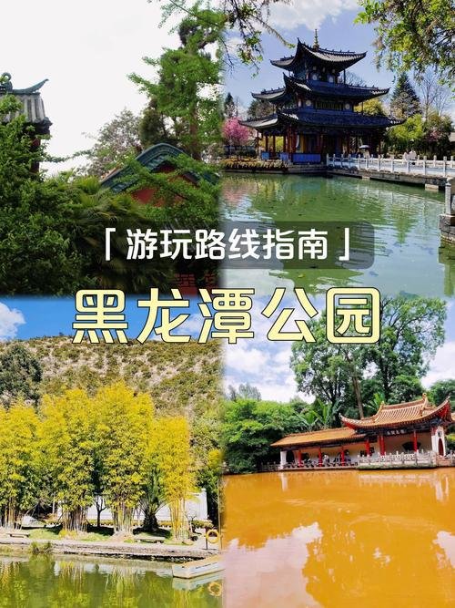 🌳黑龙潭公园｜免费雪山倒影神机位｜丽江老牌宝藏公园💚