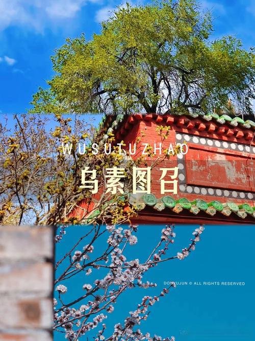 🏯乌素图召・藏传佛教古寺✨五座庙宇 + 山林禅意