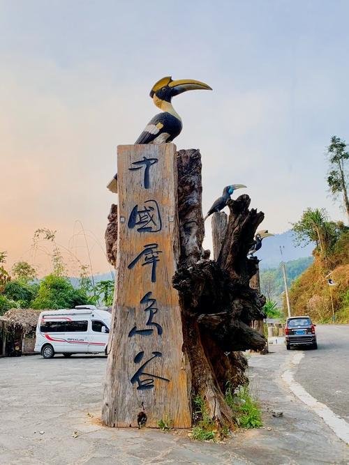 🦜盈江犀鸟谷｜中国犀鸟之乡｜深山观鸟原生态雨林🌲