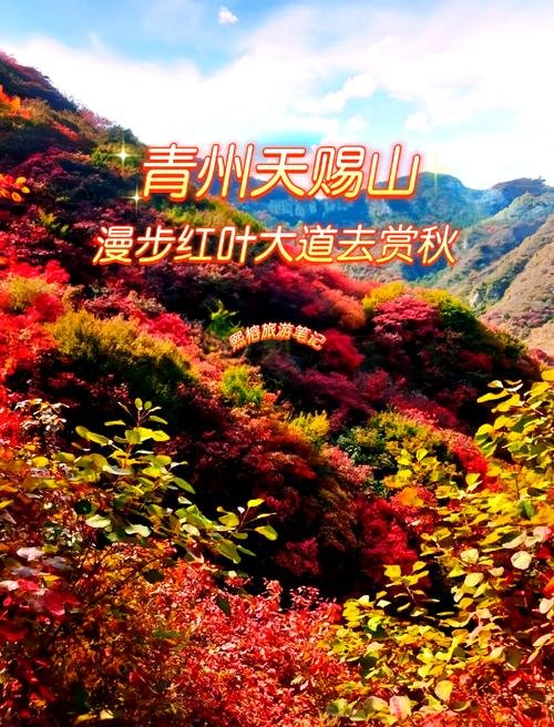 🌸天赐山景区｜青州红叶秘境✨三面环水 + 漫山红叶