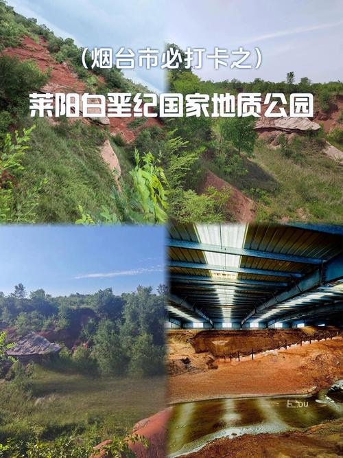 🦖莱阳白垩纪国家地质公园｜恐龙秘境✨巨型骨架 + 树化石林