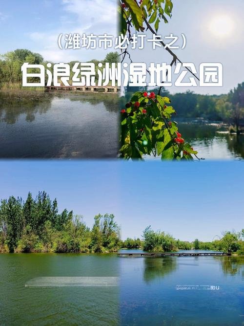 🌊潍坊白浪河湿地公园｜城市生态绿肺✨湿地花海 + 候鸟天堂