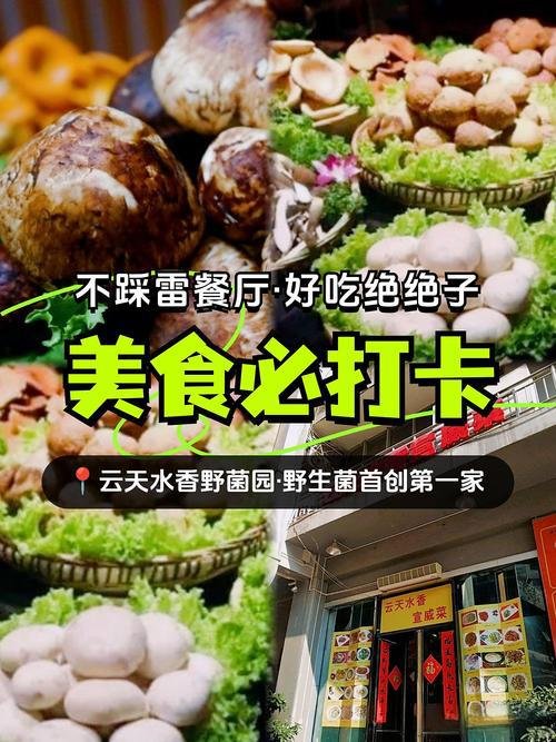 🍲 关兴路老牌野生菌火锅庭院店｜雨季限定山野珍味正餐