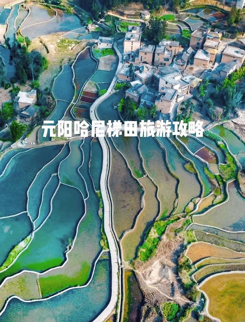 🌾元阳哈尼梯田・上帝打翻的调色盘✨世界遗产 + 日出云海封神