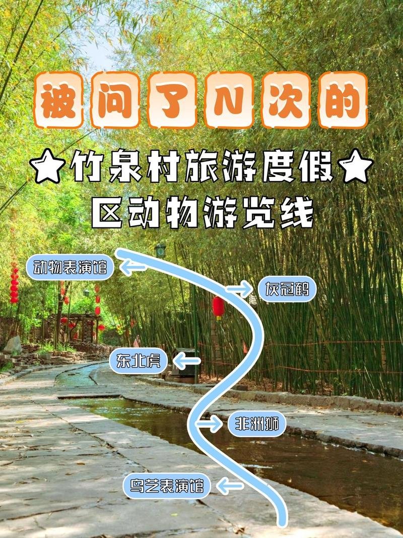 🏡竹泉村民宿｜田园慢生活✨竹林流水 + 星空小院