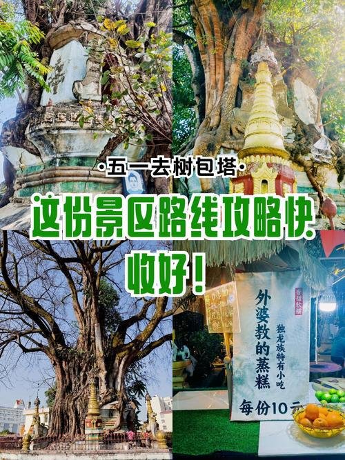 🌳树包塔｜百年自然奇迹｜塔树共生人文奇观🌴