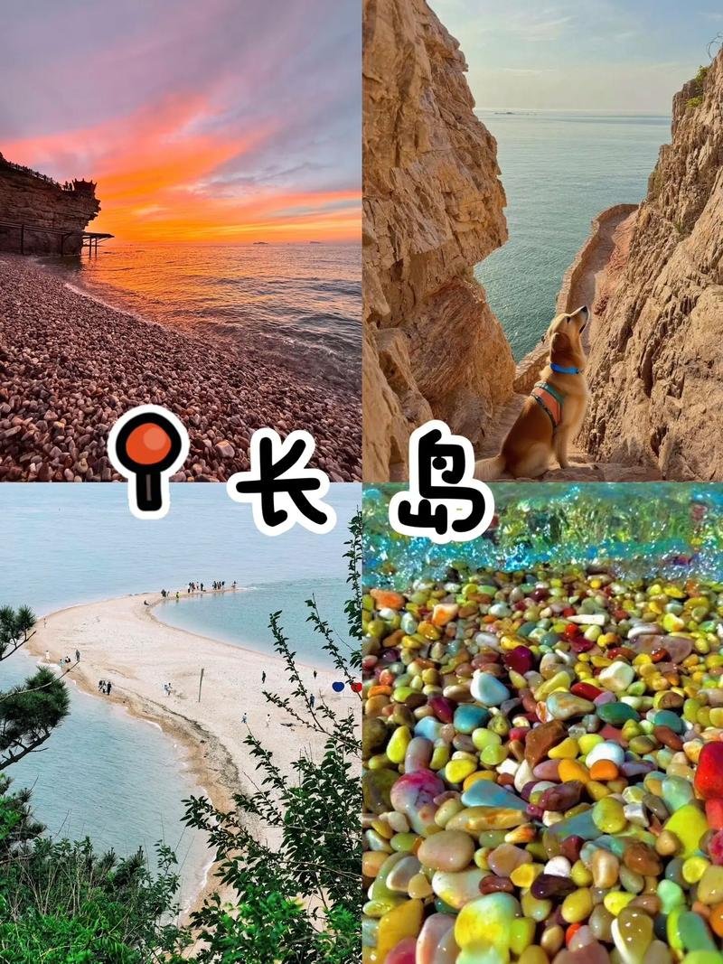 🏝️长岛｜海上仙山✨黄渤海交汇 + 万鸟齐飞