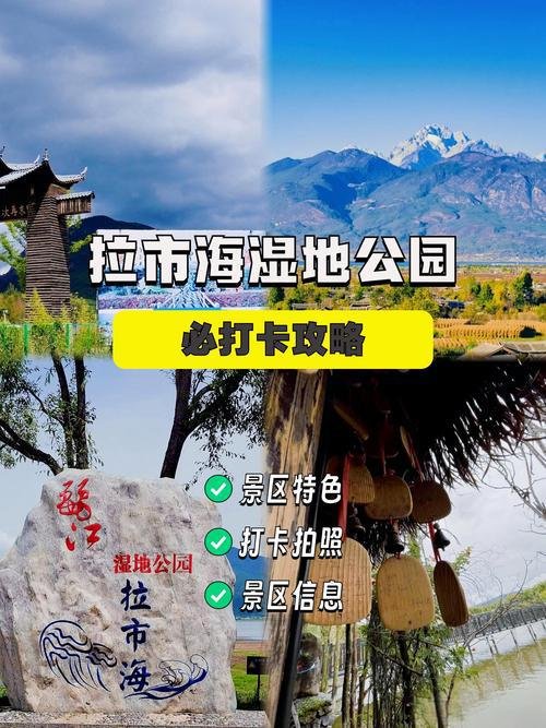 🌿拉市海｜高原湿地保护区｜候鸟天堂骑马漫步草原🐎