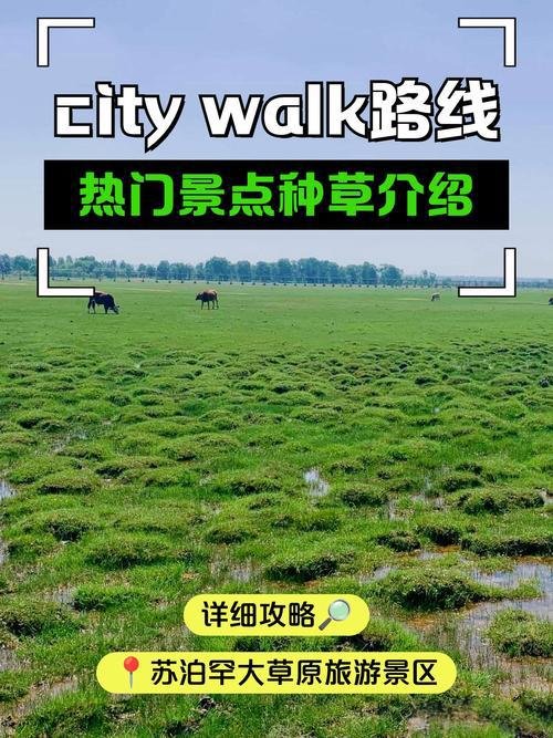 🏯苏泊罕草原・游牧文化草原✨阿木伦部落 + 草原篝火