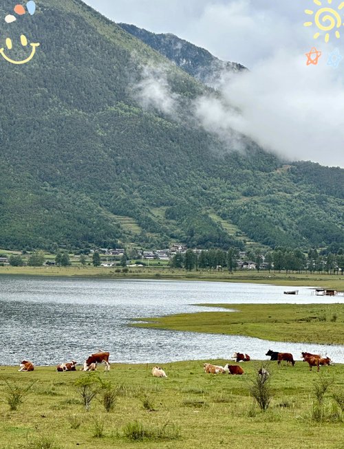 🌱文海村｜高山草甸秘境｜藏在雪山后的世外桃源🐑