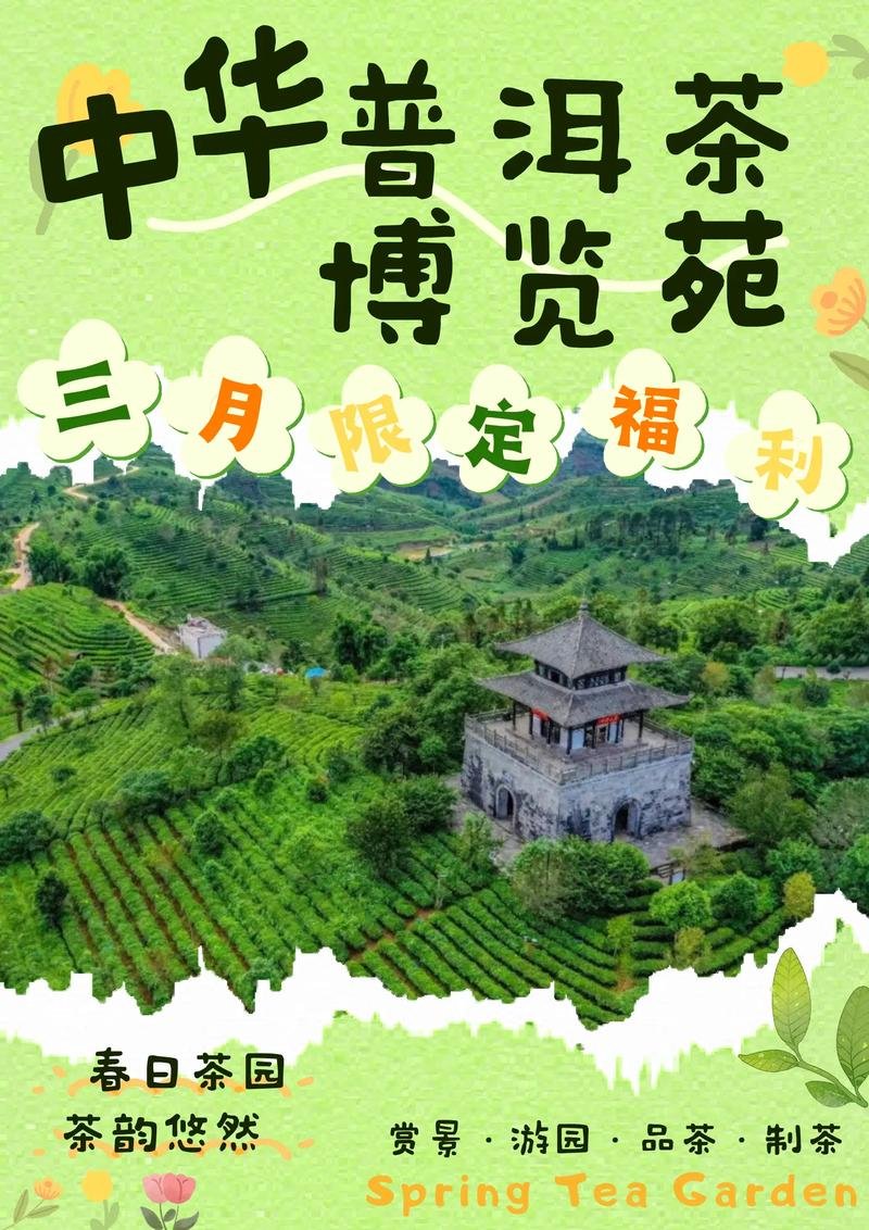 中华普洱茶博览苑｜万亩茶海 + 茶文化大观园✨采茶制茶一站式体验