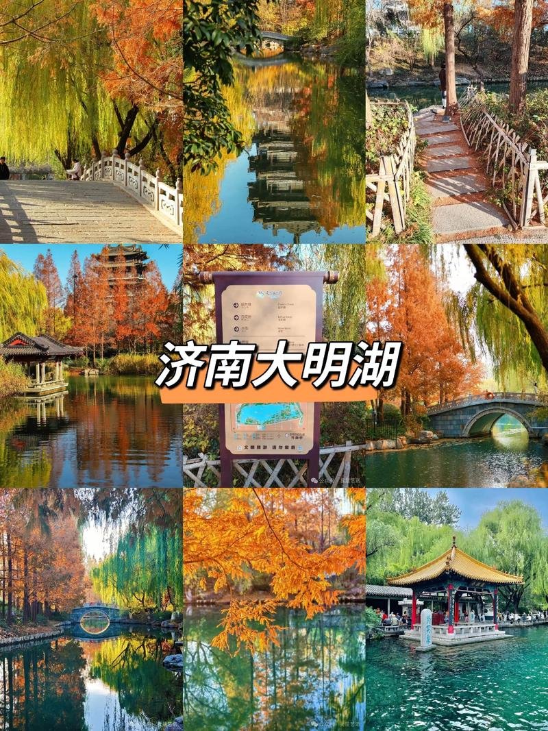 💧大明湖｜乾隆同款江南湖景✨超然楼夜景封神