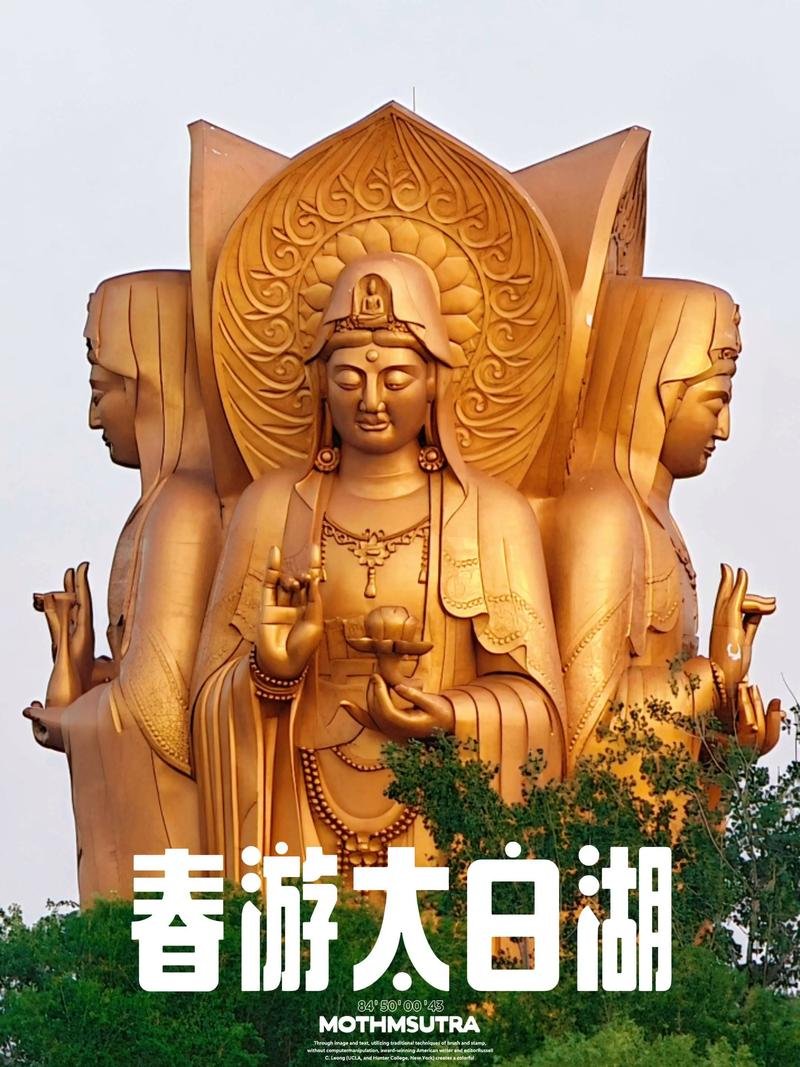 🚤太白湖景区｜济宁城市绿肺✨免费开放式大湖｜休闲遛娃好去处