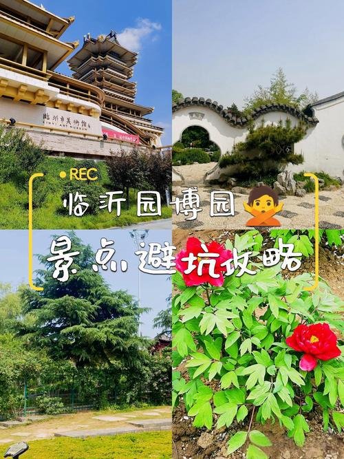🌳临沂园博园｜湿地氧吧✨免费逛 + 12 地市风光