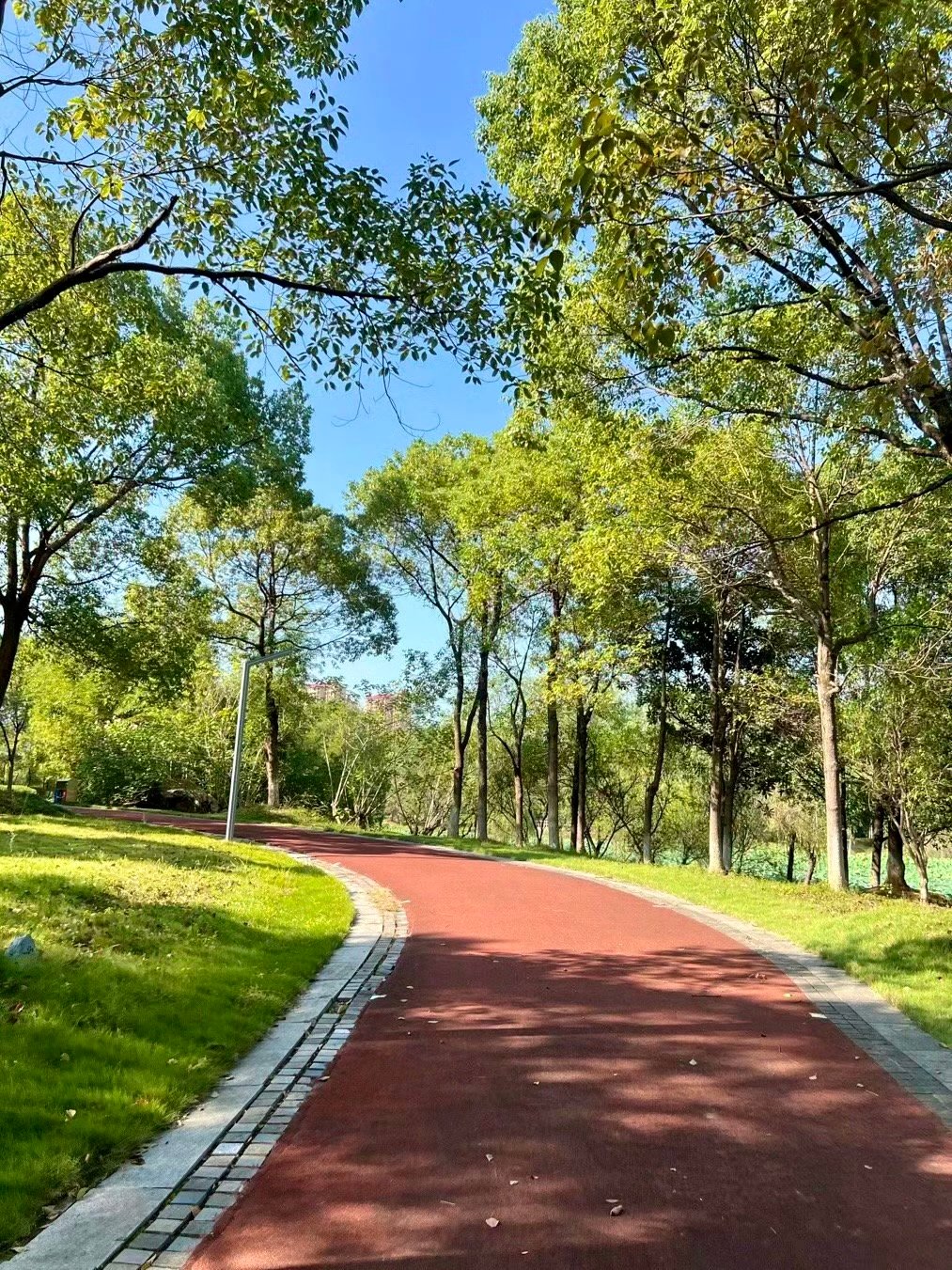 🌿孔目江国家湿地公园｜城市超大滨水绿廊✨日落散步亲子天堂