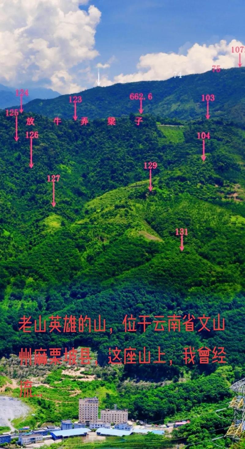 ❤️英雄老山圣地・红色记忆✨云海翻涌 + 木棉如火