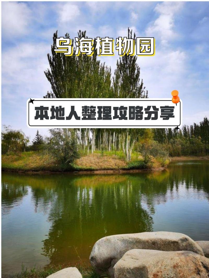 🌾乌海沙漠植物园・沙生植物秘境✨沙漠绿植 + 小众治愈