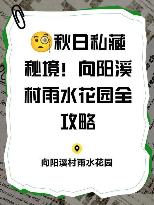 向阳溪村💐西线隐秘白族村落🌸整条街巷三角梅瀑布，临海小众拍照地