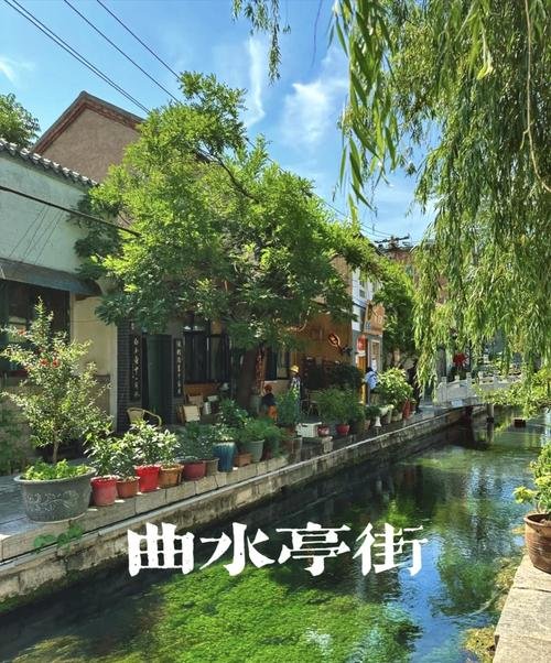 🏡曲水亭街｜老济南泉水街巷✨家家泉水户户垂杨
