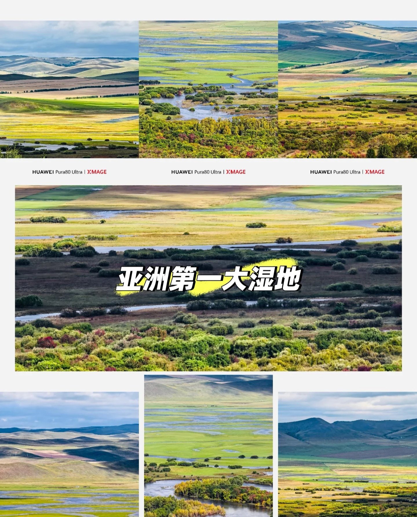 🌳额尔古纳湿地·亚洲第一湿地✨根河蜿蜒+金黄白桦林