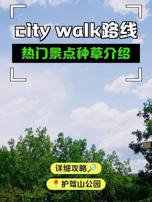 🌱邹城护驾山公园｜城市免费氧吧✨环湖休闲 + 轻登山