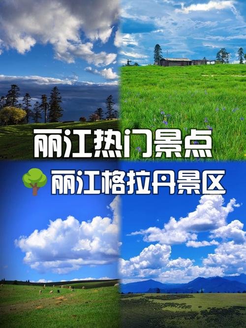 🏕️格拉丹草原｜高山云端牧场｜野生杜鹃秘境🐏