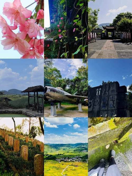🏞️腾冲来凤山国家森林公园｜城区原生山林｜登顶俯瞰全城⛰️