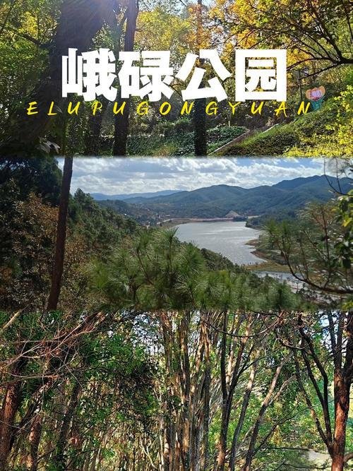 🌿峨碌公园｜西山森林秘境✨登山徒步 + 俯瞰市区超治愈