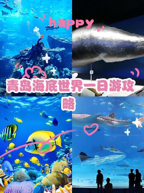 🎢青岛海底世界｜海底隧道 + 人鲨共舞✨亲子海洋顶流
