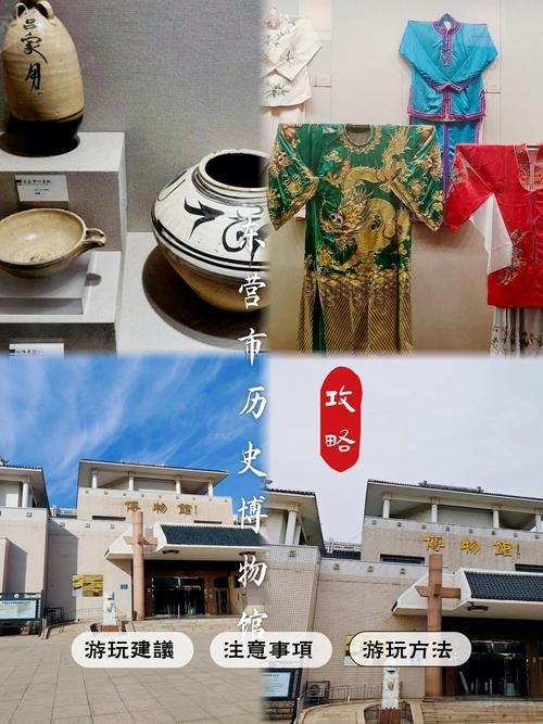 🏛️东营市博物馆｜黄河河口文脉宝库✨免费预约大型文史展馆